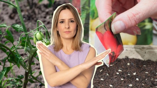 ��� ����� ������� ��� ����������: ���� �� ������� ������ �� ������