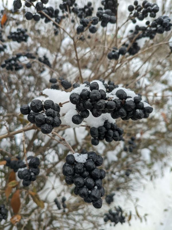 ������ ����!. ������� 7 �������, �������, �� ������������ ��� ������ �� ���� ����