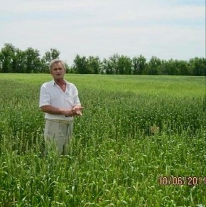 ������ �������: ����� � ��������� ���������