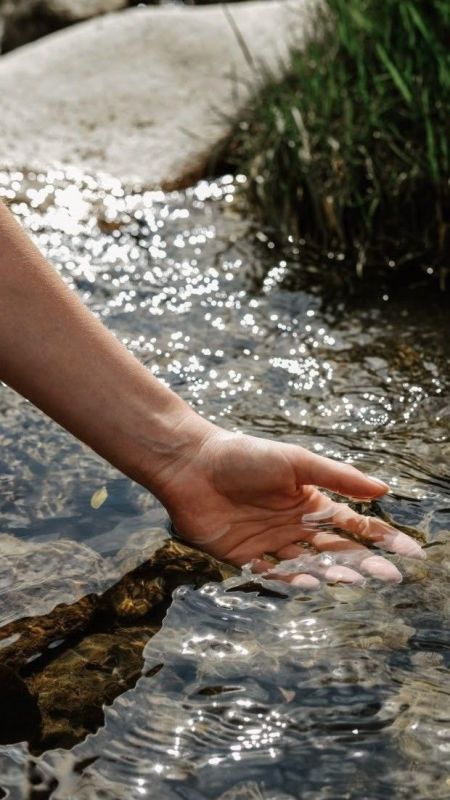 ����: ���� � ������������ �� ������� ������ ��������