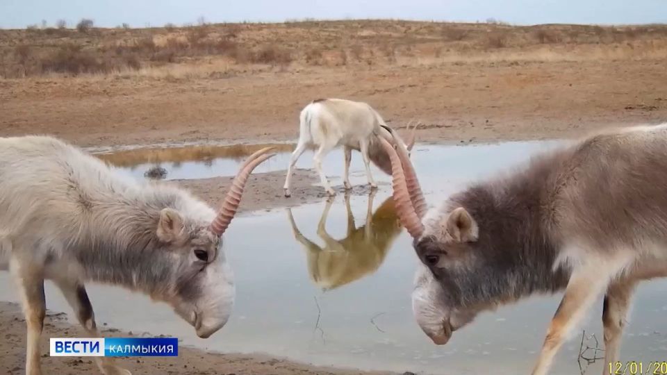 ������� � ��������� ����� � ����� ������� ������ � ������� �������