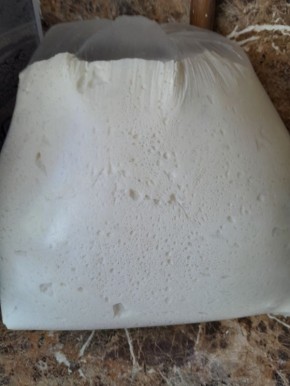 ��� ����������� ��������� ������: ������� ������� ����� � ������ �������