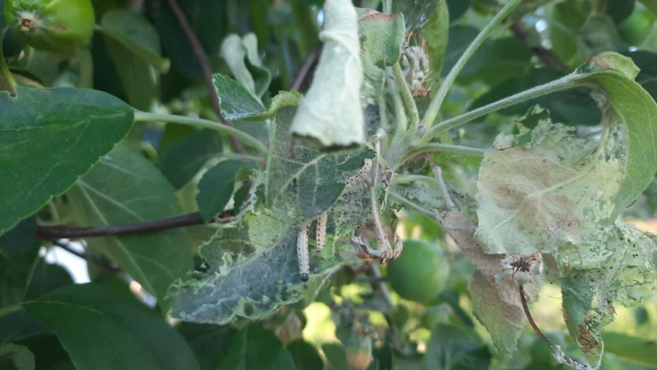 ������� ��� ��� � ��� ��������: ������ ������ �� ��������� ����������