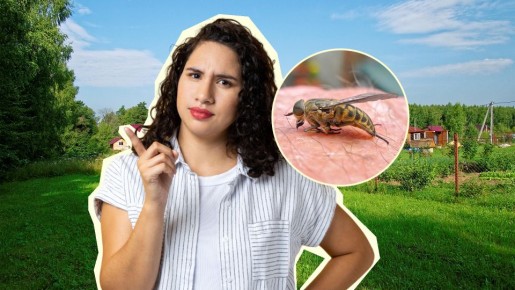 ��� ����� ������ �������� ��� ���: ���� ������ ������ ������� ��������