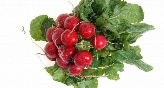 �������: ������������� ���� ��� �������� ����