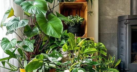 ������ ���� � ������� ���: ���� ������ �������� ��� ����������