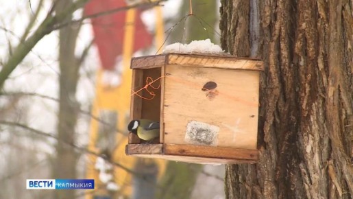 ������ ��� �����