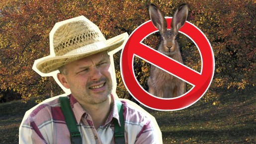 ������ �� �������� ������� �������� ������� � ����: �� ������ ������� ������ �������