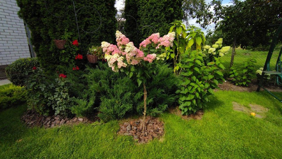 ��������� ���������: ������ � �������