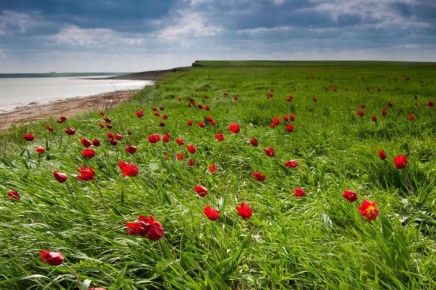 � ��������� ������� ������ ���� � ������� ����� ��� ��������� ������� ������