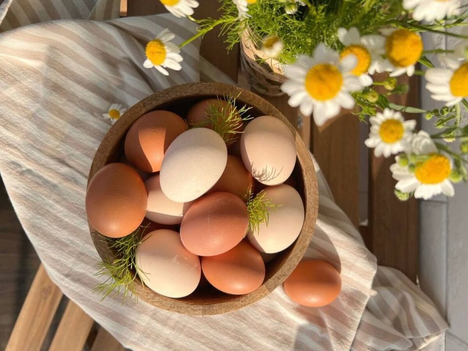 ��� ������� ���� ��������: ������� ����� �������