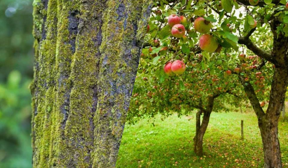 �������, ��� �������� �������� ������� �� ��� � ����������