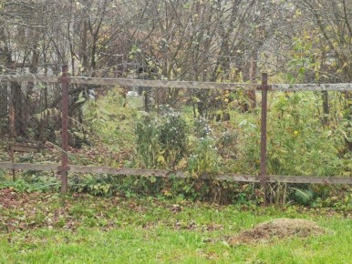 ��� ����������� ����� �� ������: ���������� ���� ��� ����