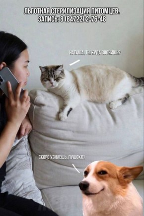 ��������� ���������� ��������� ����� �� �������� ������������ ����� � �����