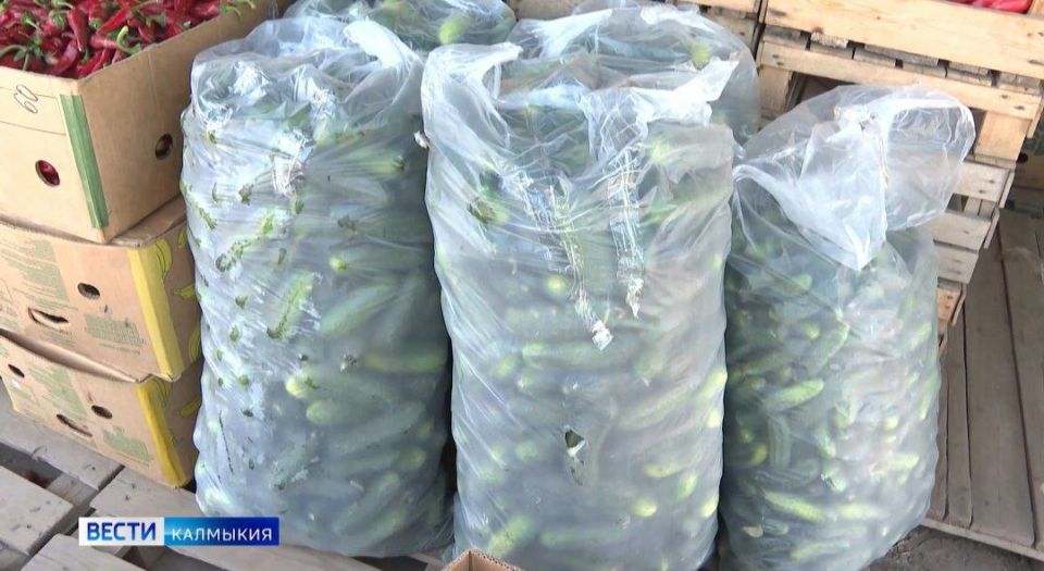 ������ ����������� ������� � ������ �������� ���