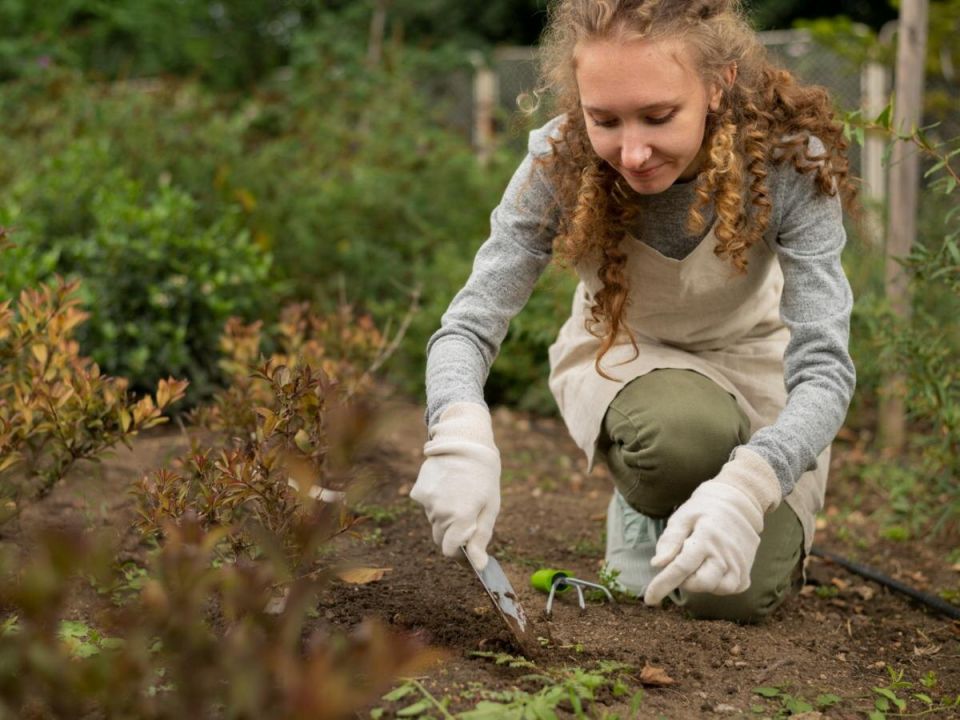 ��������� ������: ��� �������� ������ �� ���������� � ��������