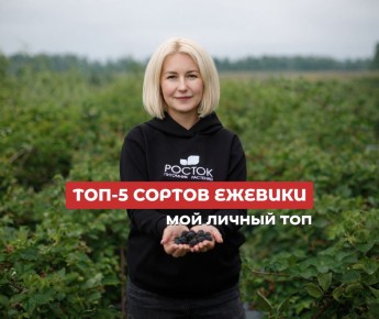 �������: ������� ������������� ������ ��� ������ ����