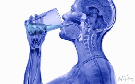 ������� ��� �� ����������� ����: �������� ����� � ������