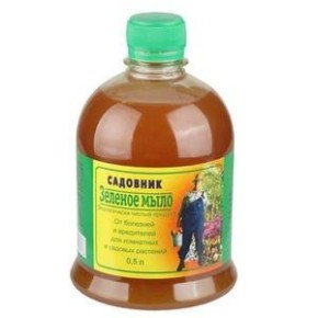 Фунгициды для домашних растений: как выбрать и правильно использовать