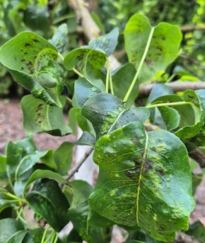 �������� ���� �� �����: ��� ����� ����� � ��� ��������