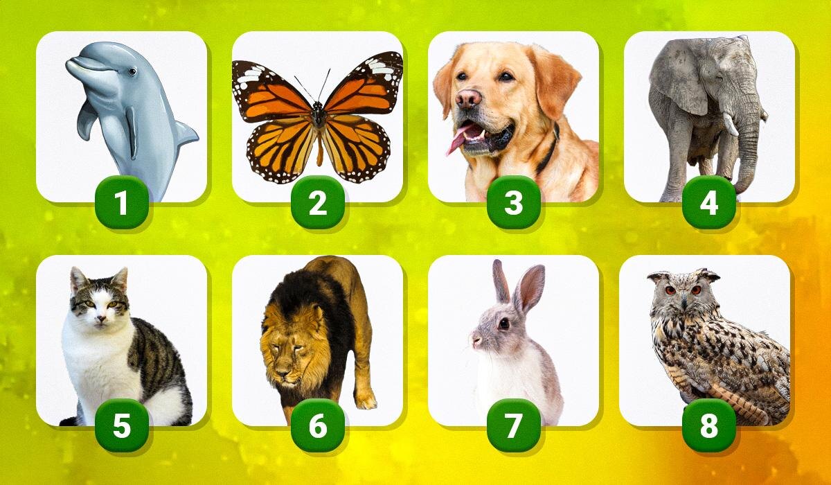 Психологический тест, который раскрывает ваш внутренний мир через тотемное животное
