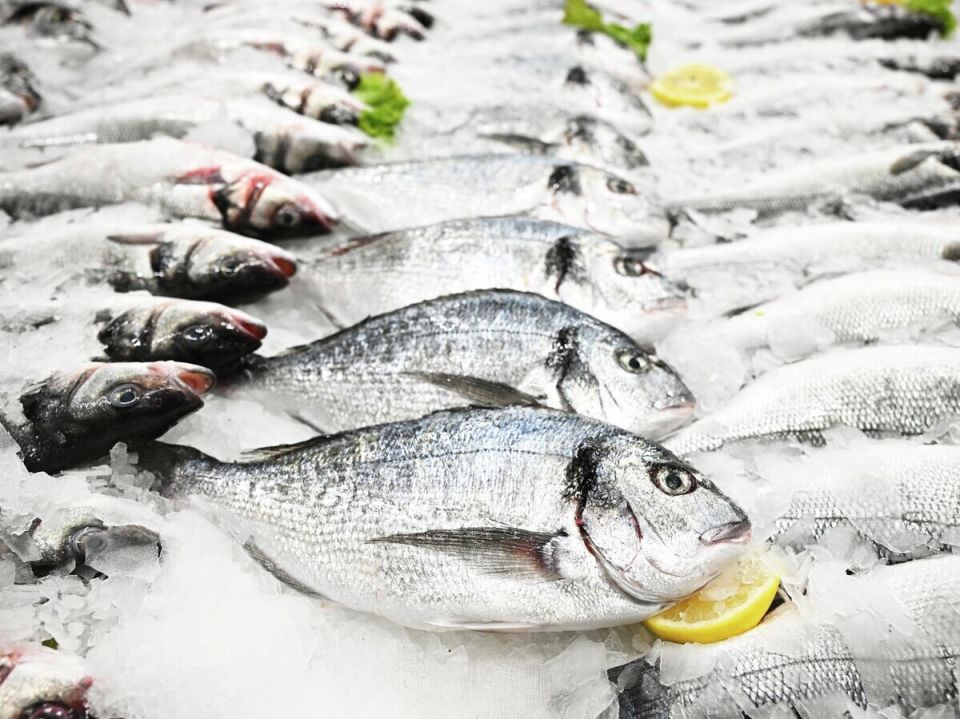 ������ � ����, ��������� �������: ��� ����� ����� � �� �������������