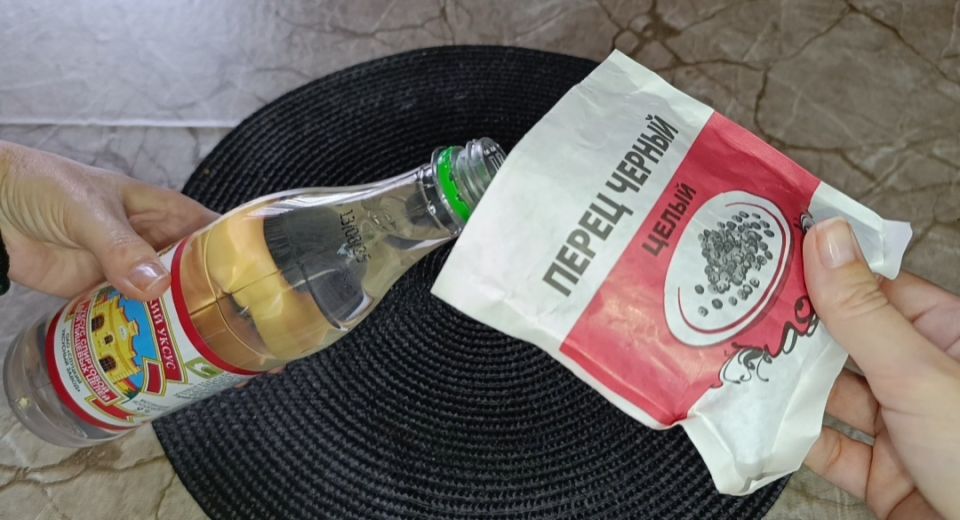 ����� � �����: ������������ ��������� ��� ������� ������ ����