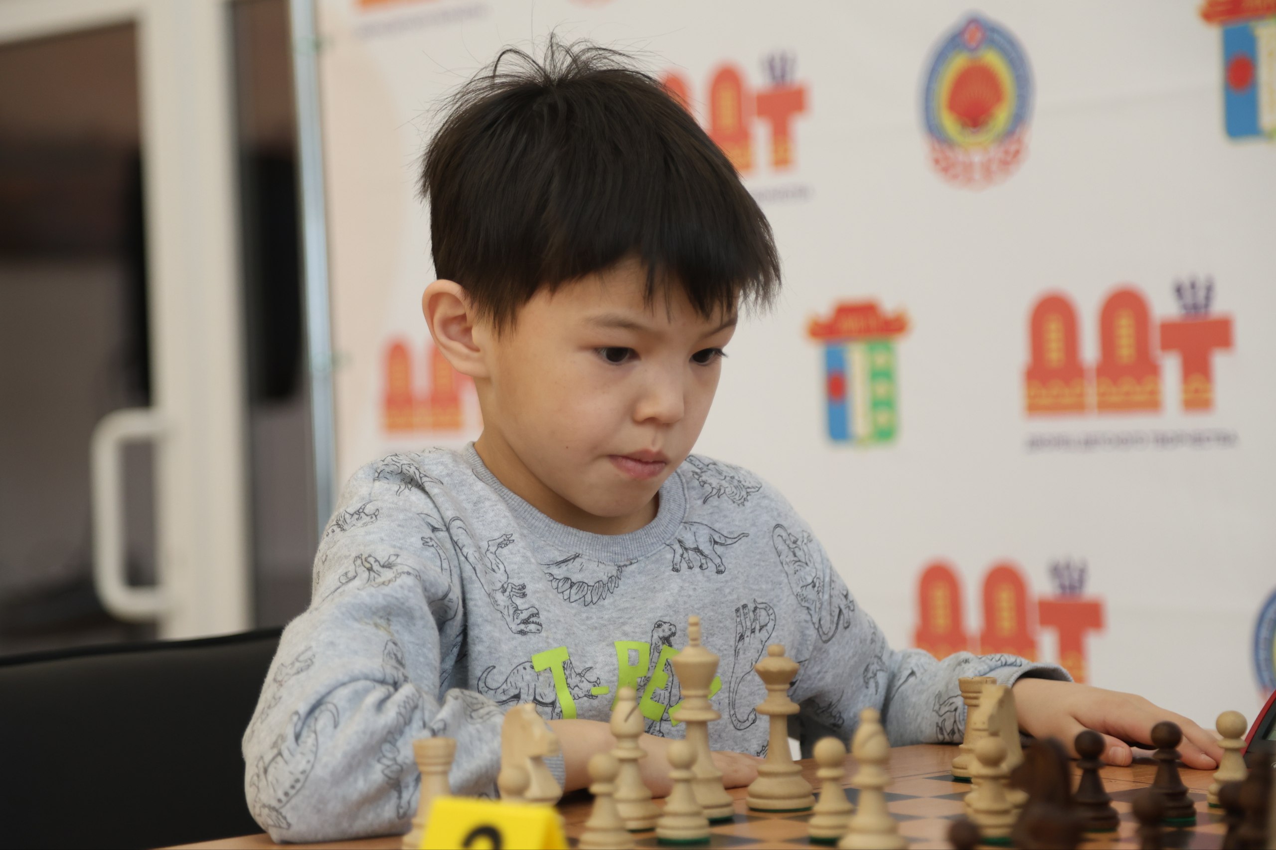 В Элисте стартовал IV мемориал Санала Шарапова В Элисте стартовал IV мемориал Санала Шарапова