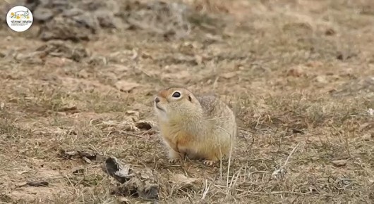 ����������� � ��������� �����