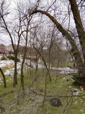 ������ ����!. ������� 16 �������, �����������, �� ������������ ��� ������ �� ���� ����