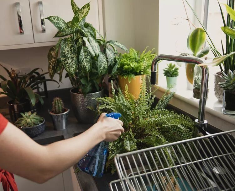 ��� ��������� ��������� �������� ������ �� ����� �������: 7 ����������� ��������