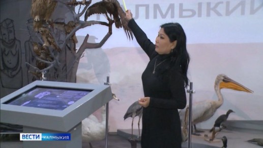 ������� � ��������� ���� ������������