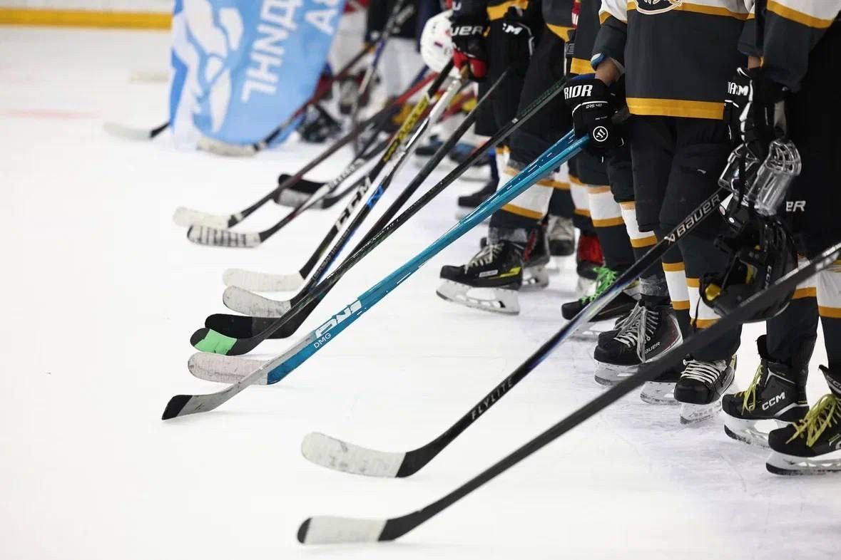 С 20 по 22 февраля в Астрахани проходит хоккейный турнир «Дружба народов», приуроченный к объявленному Президентом России Владимиром Владимировичем Путиным Году единства народов России С 20 по 22 февраля в Астрахани проходит хоккейный турнир «Дружба народов», приуроченный к объявленному Президентом России Владимиром Владимировичем Путиным Году единства народов России