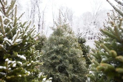 �� ������� ���� ������ ��� ������ ���� ��� ������ ����!