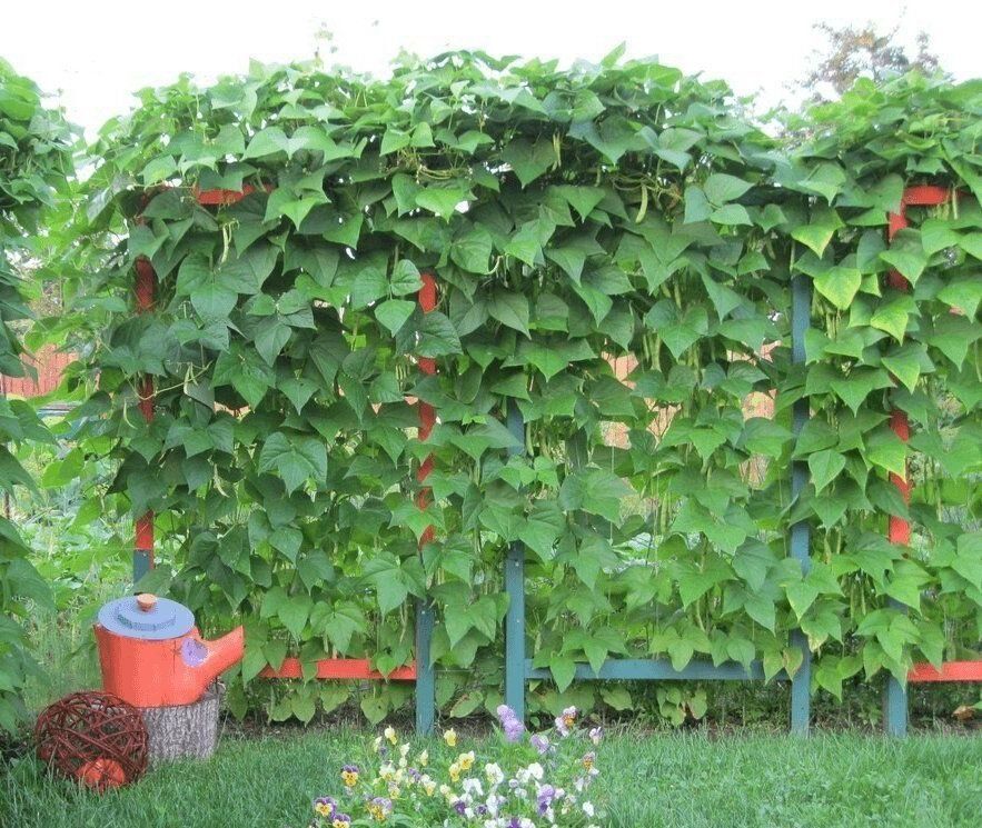 ��������� ������: ������� ������������� ��������������