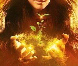 ��� ������ �������� ������ � ������ � ������������ �����