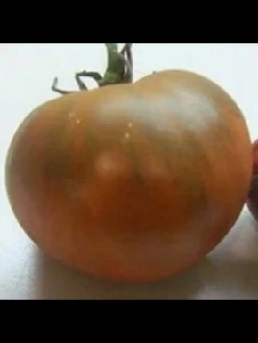 Томат Ежевика: удивительный сорт с экзотическим вкусом и цветом