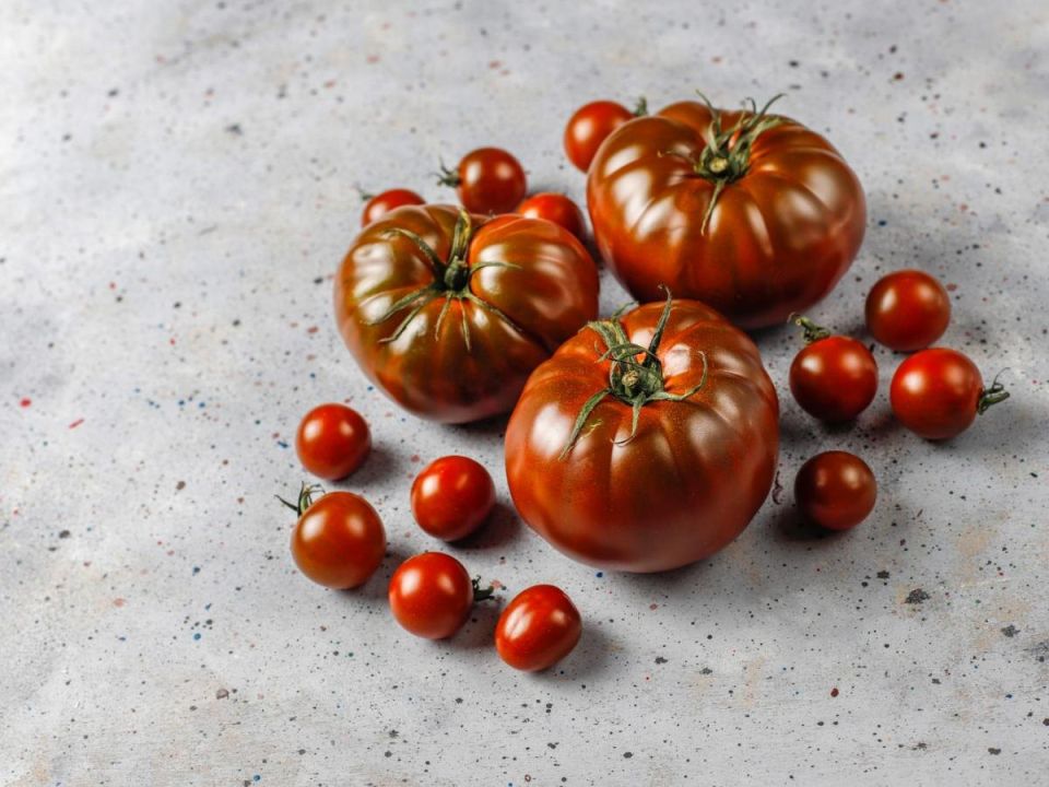 ������ ����������: ��� ������������ ���� �� �����������