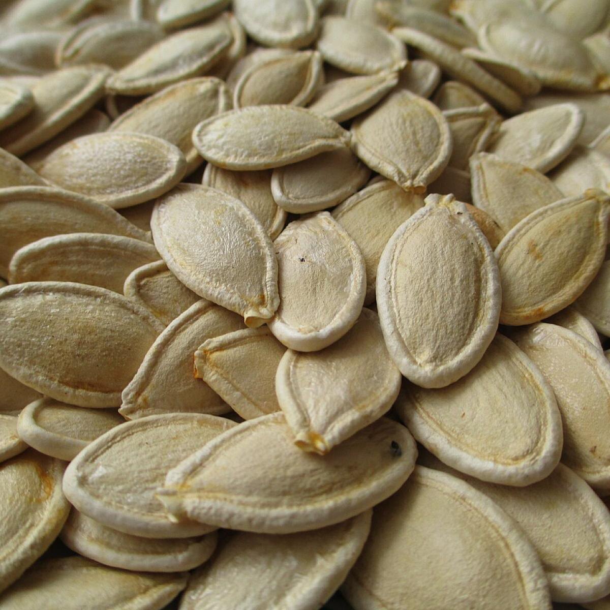 Как правильно собрать семена на вашем дачном участке