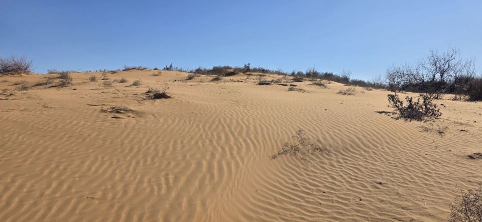 ������ ����!. ������� 23 �������, �����������, �� ������������ ��� ������ �� ���� ����