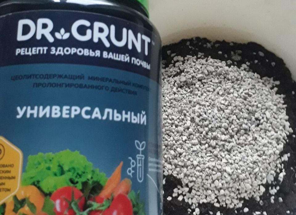 ����� ������� Dr.Grunt ������� ������� ������� �� ��� ������ �����