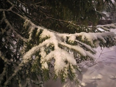 ��� �� �������: ����������� ����� � ������ ��������