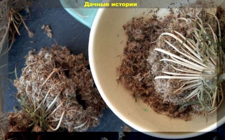 ������� ������������� ������������� ��� ���������� ��������