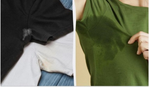 ��� ���������� ������� ����� �� �����������: ����������� ������