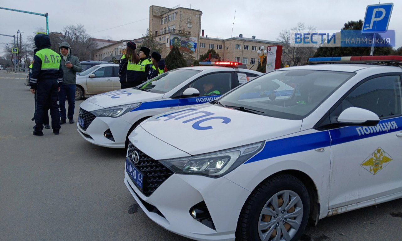 Сегодня в Элисте проходит акция «Женский патруль» Сегодня в Элисте проходит акция «Женский патруль»