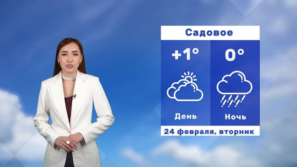 ������� ������ �� 24 �������