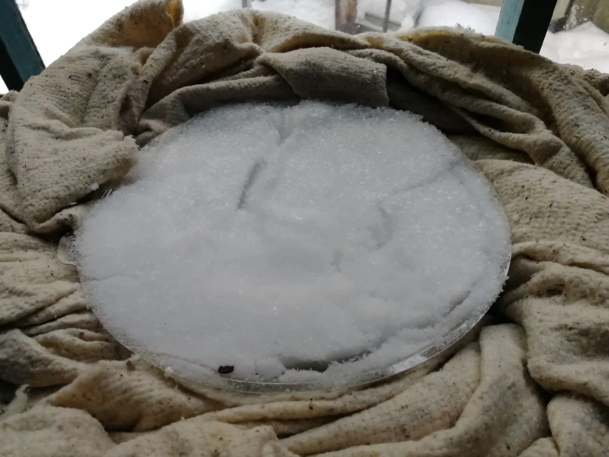 Как добиться всходов семян: секреты и советы садоводов