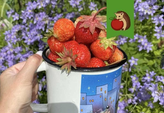 ��� ��������� ������������� �������� � ������ �����: ������ � ������������