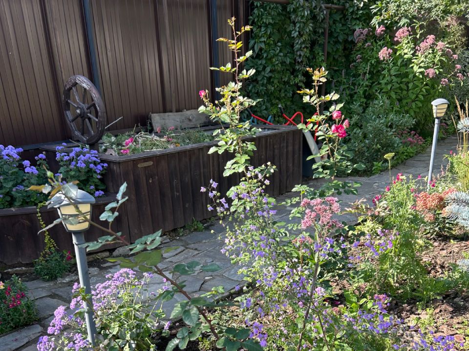 �����, ������� ������ ��� ��� ���� ������