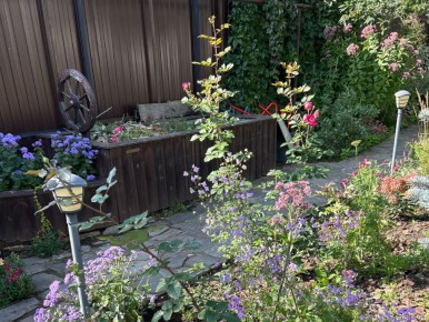 �����, ������� ������ ��� ��� ���� ������